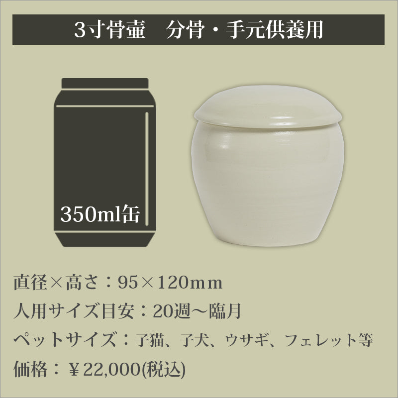 ミニブタ（ポットベリー・ピッグ ）頭骨（大）オス ★ NO.3 楽天市場】5000台突破記念セール！小型犬 猫 小動物 3輪タイプで